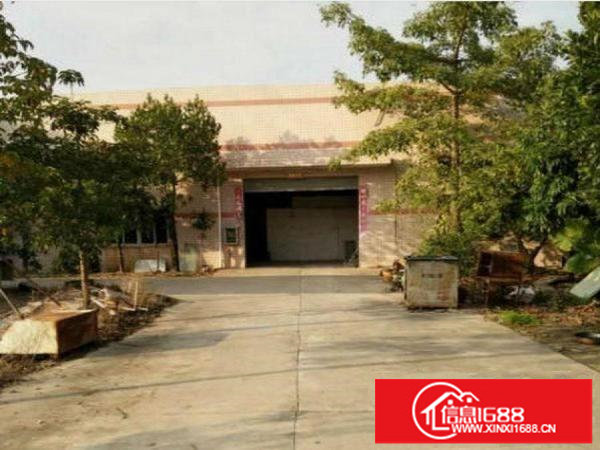 出租龙岗区宝龙新出独院单一层厂房1700平方米