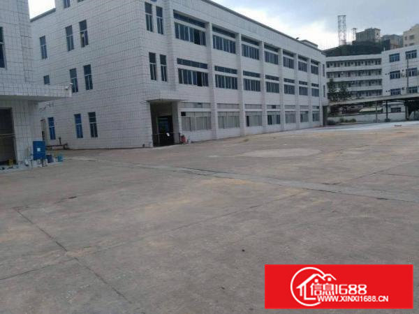 东莞市东坑镇新出原房东厂房出租