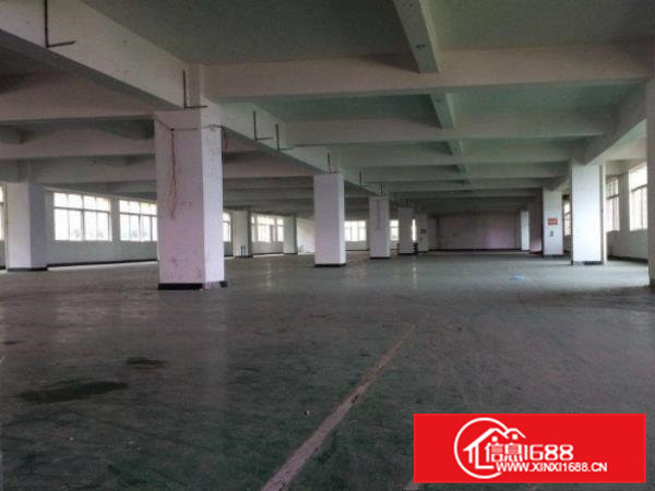 横沥田坑现有独门独院3000平方出租可分租