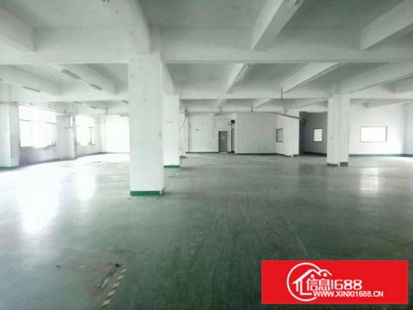 坂田地铁口新出1200平电商贸易厂房带装修招租