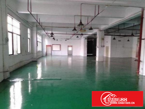 茶山下朗村厂房小两层每层950平方！可分层出租