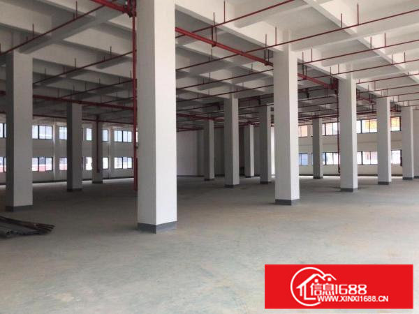 可办环评）大朗全新标准工业园厂房3800平每层，带消防喷淋