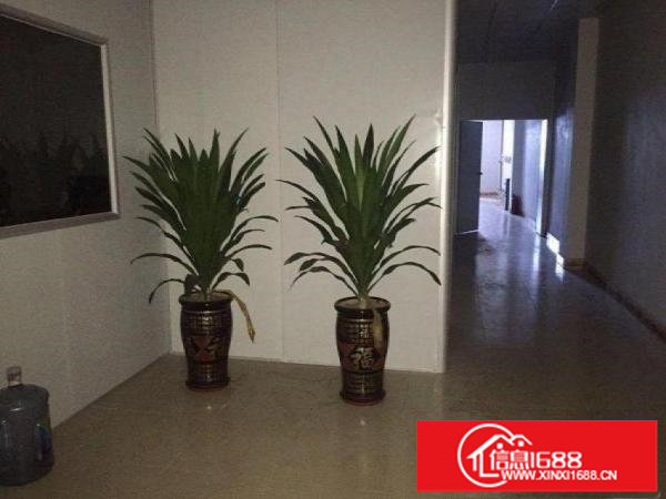 横岗旱塘村新出4楼带现成装修1000平方厂房出租，招工方便