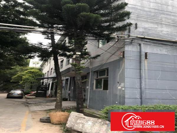 荷坳地铁口1000米，一楼850平标准厂房