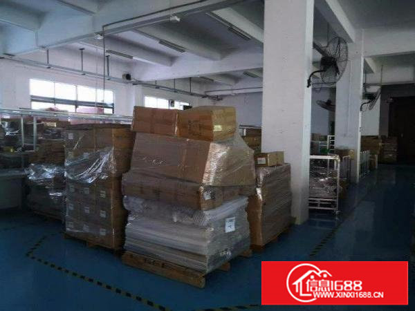 塘厦厂房出租:免装修 科苑城1000平方米一楼标准厂房