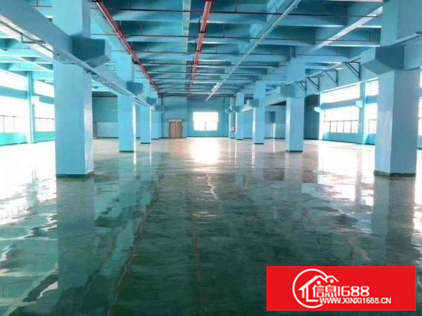 凤岗近深圳新出6米高标准一楼1100平方带装修急租