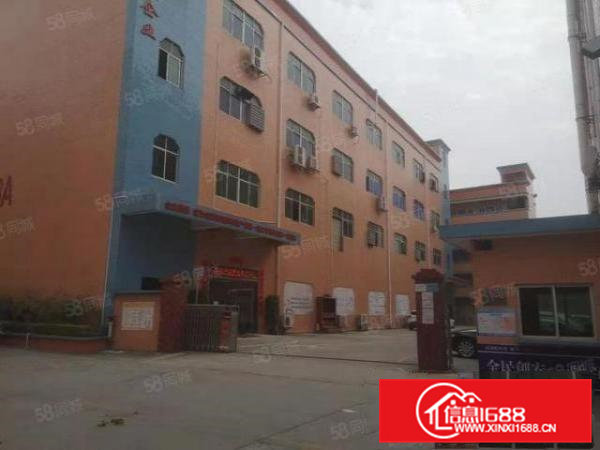 企石工业区新出原房东标准独院5100平可办理环评