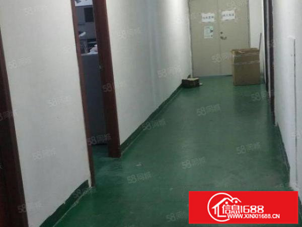 观澜福民新出带装修910平出租