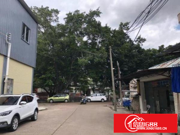 细滘全新厂房（可以做铺位）630平方