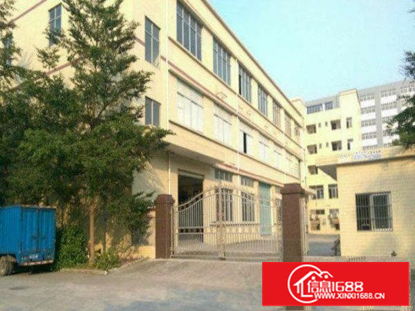 大岭山新出独门独院三层6000平厂房大小可分租