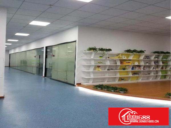 全新豪华办公室出租（带装修，可分租）