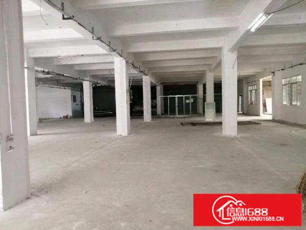 清溪11元的厂房，可以整租或分租。11元喔你要尽快联系我吧