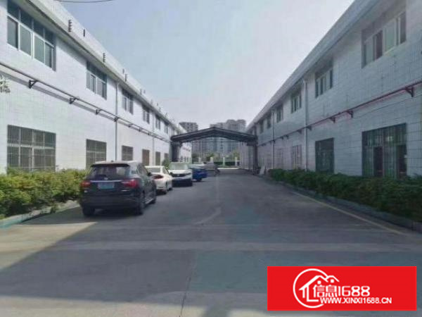 花园式钢构厂房6500平方米出租