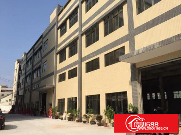 横沥村头标准厂房楼上1950平，带牛角，水电齐全，