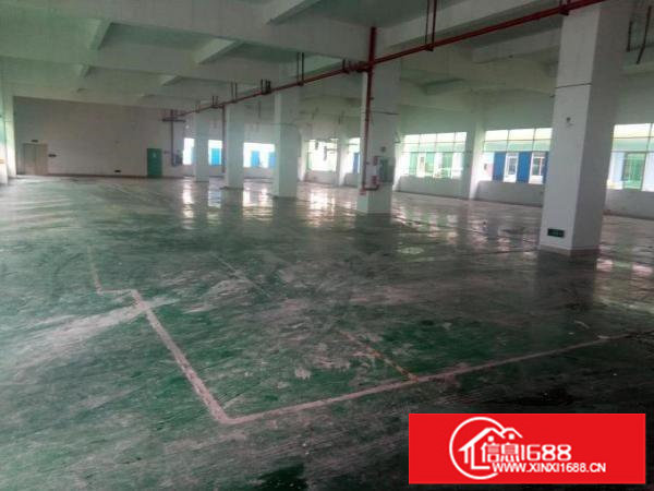 出租龙岗区龙东独院标准厂房两层2700平方，带装修