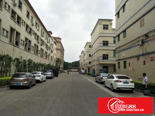 坪地新出工业园区厂房600平