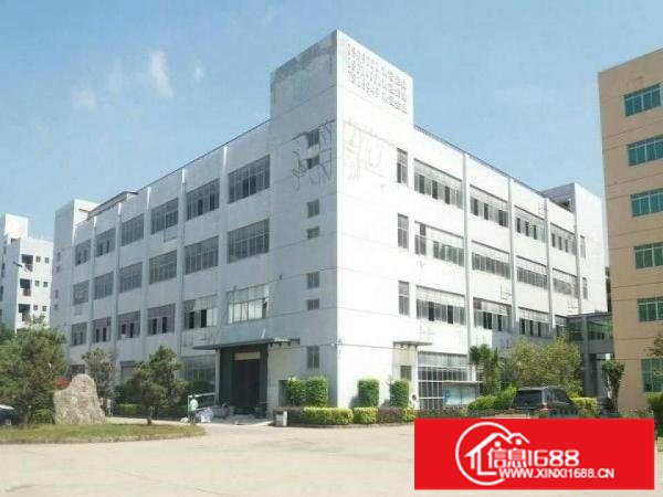 龙岗一楼一楼标准厂房铁皮房仓库招租