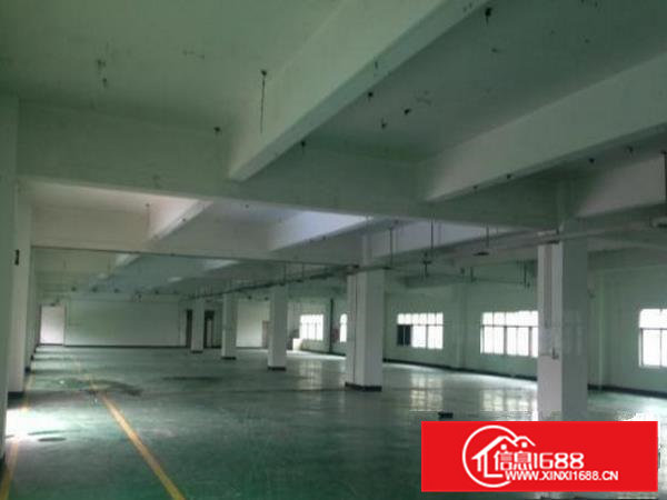 横沥村尾独院厂房3100平带办公室装修形象好无公摊