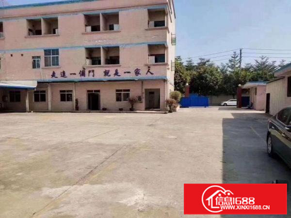 砖墙到顶，现成办公室，杨屋出单一层钢构厂房5000平低价出租