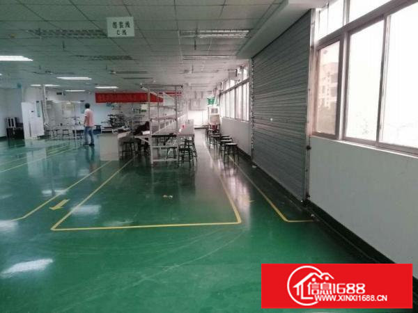 坪山大工业区700平米精装修红本厂房出租