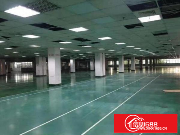 容桂南区1楼780平方厂房出租