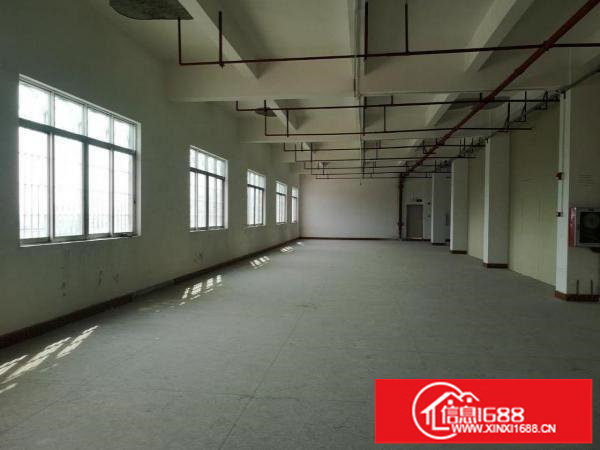 横岗大康新出1100平厂房,带消防喷淋,配3吨电梯,超大空地