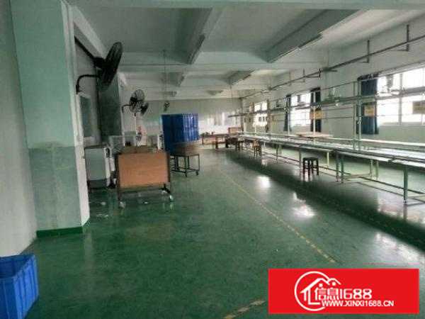 容桂新出厂房，标准700方，带地坪漆，价格便宜