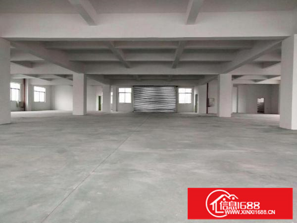 带卸货台、空地大，顺德伦教1600方标准厂房出租
