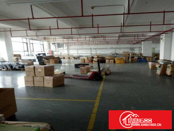 龙岗五金塑胶等独院厂房1一3层5800平米招租