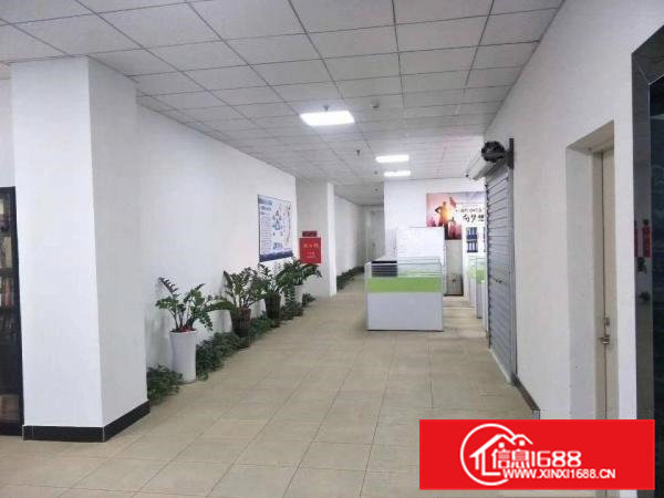 现成装修单层面积1000平方