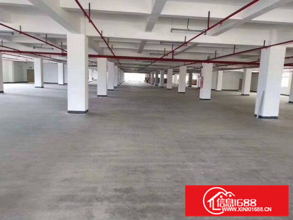 全新原房东独门独院标准厂房出租