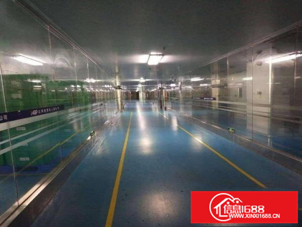 东莞市花园式大朗镇独院厂房出租招租，水电办公室齐全，人气旺。