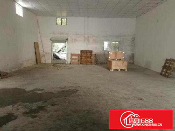 布龙路边新出一楼280平330平500平仓库招租