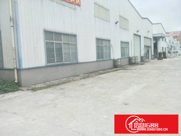 镇隆厂房路边8米高2800平米出租（可分租）