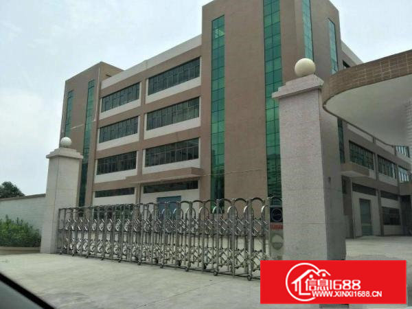 全新独院厂房6000平方可分租