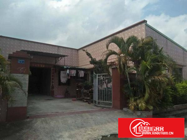 茶山南社原房东出租独栋单一层500方。价格10块。面积实量