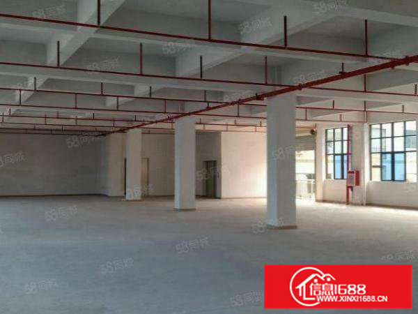 新出四层全新标准厂房1000平米层，一楼6.5米高