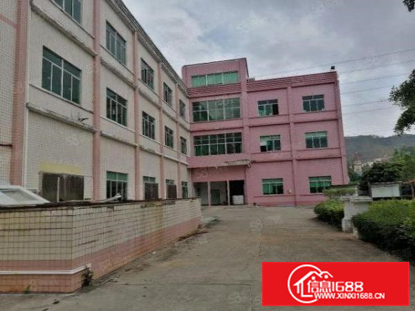 桥头大洲新出原房东标准独院厂房5500平方带现成装修