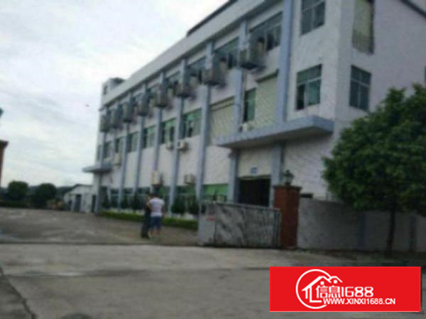 万江石美标准厂房分租二楼1600平方出租