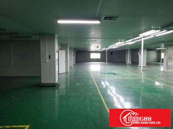 独门独院原房东标准厂房带现成装修