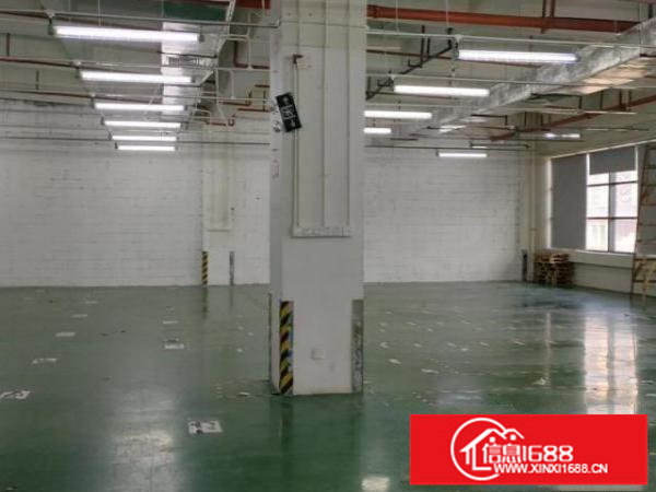 新天下华赛工业园厂房业主直租