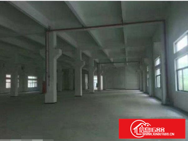 常平金美标准三层2800平米厂房出租
