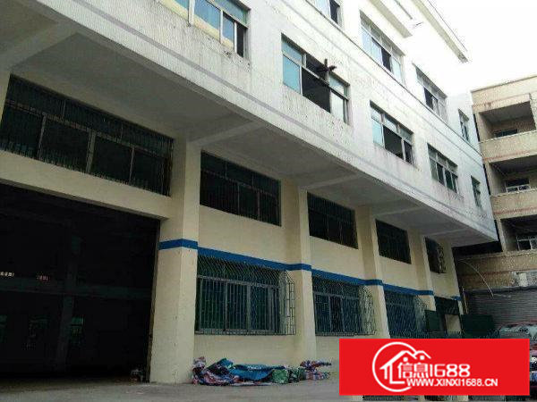 (可分租)横沥独门独院三层共3000平方报价14元