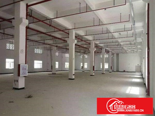 龙岗原房东标准一楼1183平米出租可分租