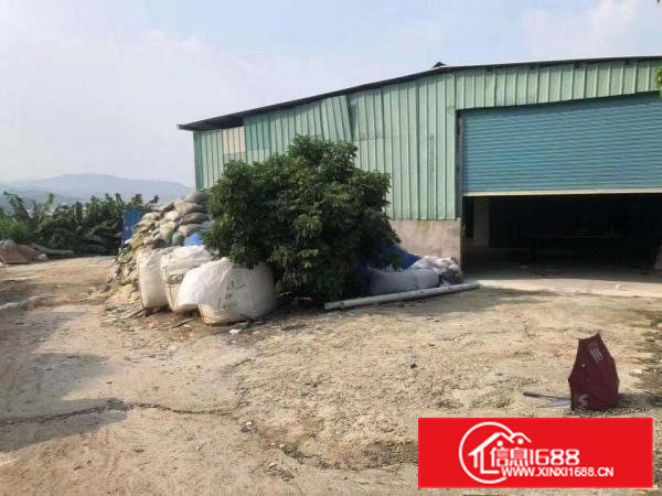 大岭山新出原房东300平铁皮小面积厂房出租,不限行业！