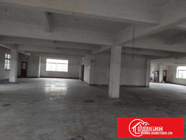 出租园洲园洲城区