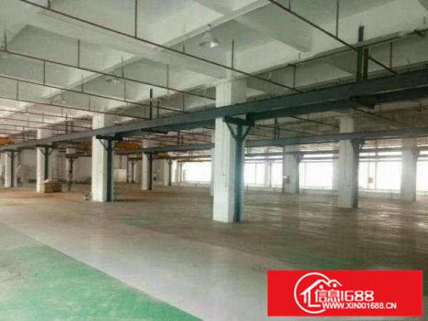 龙岗宝龙带卸货平台单层1900平空地1万