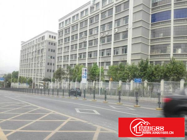 丹竹头标准厂房仓库出租