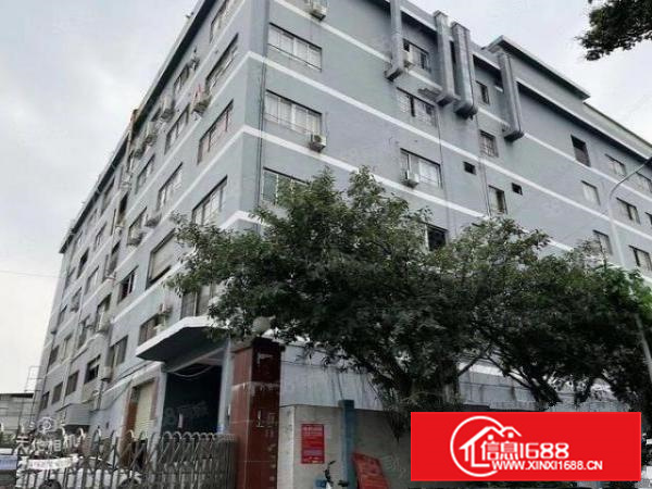 长安豪华装修设施齐全车位空位大厂房出租可分租