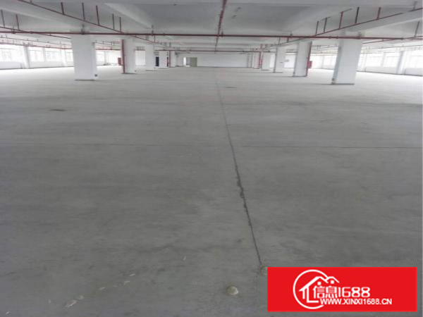 陈江13000平全新厂房独院，带国有红本